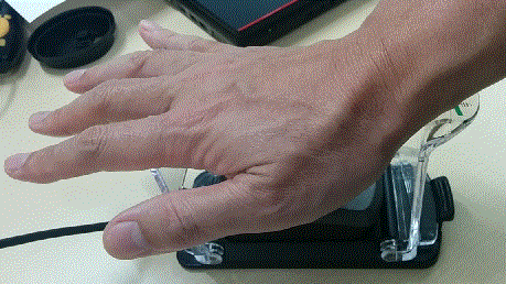 Fujitsu Palm Secure